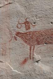 Headless deer with gunshot wounds [mon sep 1 08:48:26 mdt 2025]